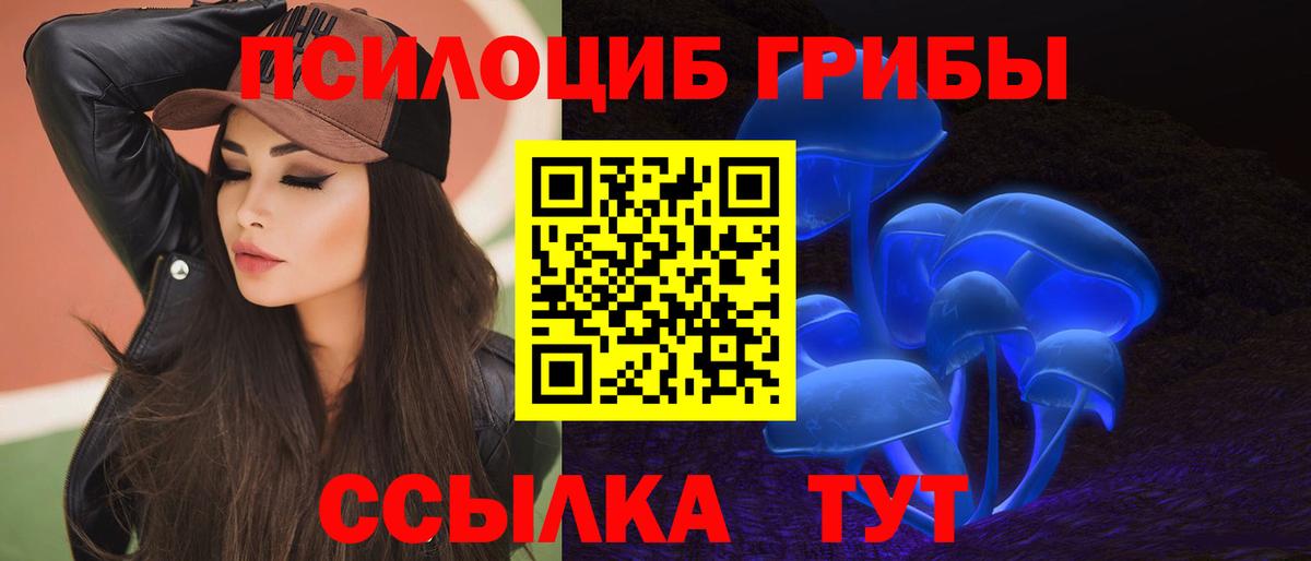 Коркино  Псилоцибиновые грибы мицелий  Вход с VPN 