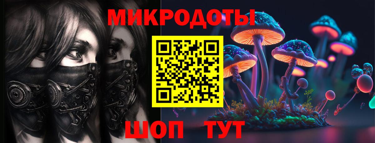 Псилоцибиновые грибы Psilocybine cubensis Коркино
